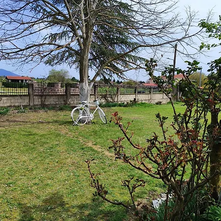 My Flowers شقة Árgos Orestikón