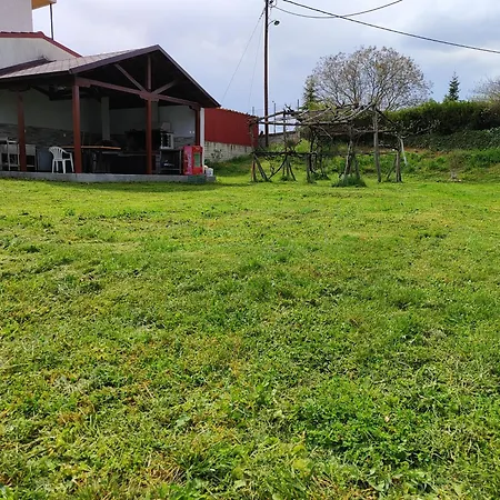 My Flowers Daire Árgos Orestikón