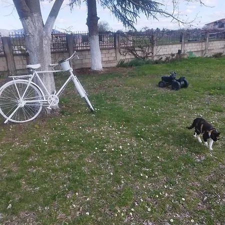 My Flowers Daire Árgos Orestikón